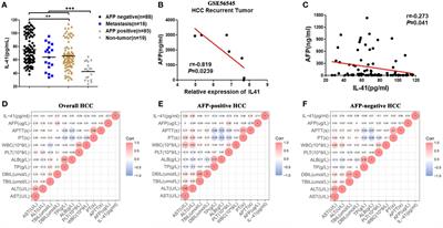 Interleukin-41: a novel serum marker for the diagnosis of alpha-fetoprotein-negative hepatocellular carcinoma